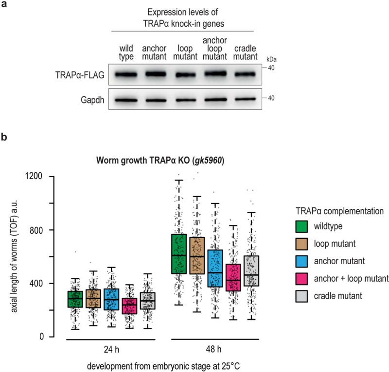 Extended Data Fig. 10