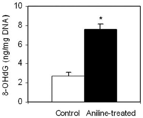 Fig.1