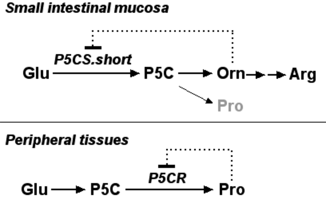 Fig1