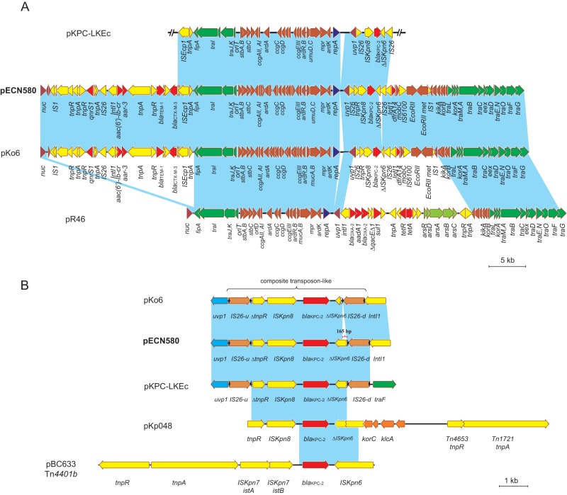 FIG 1