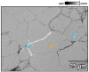 Figure 33