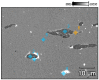 Figure 37