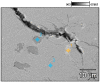 Figure 35