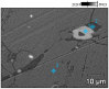 Figure 34