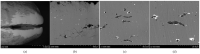 Figure 19