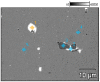 Figure 36