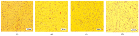 Figure 42