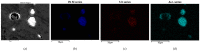 Figure 23