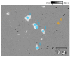 Figure 20