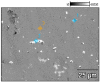 Figure 31