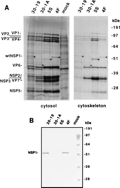 FIG. 5