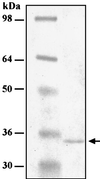 FIG. 7