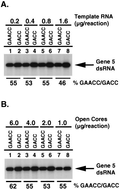 FIG. 6