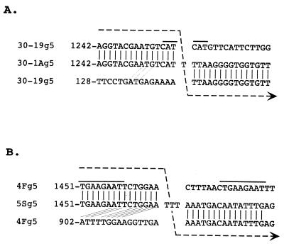 FIG. 4