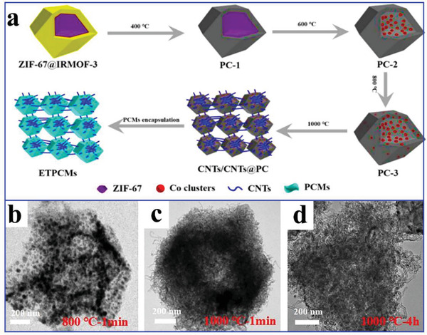 Figure 24