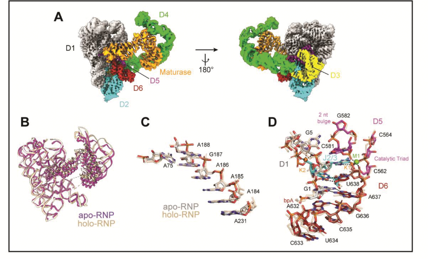 Figure 5.