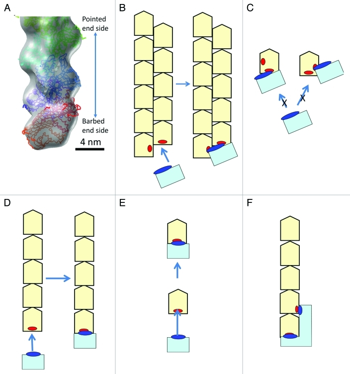 Figure 1.