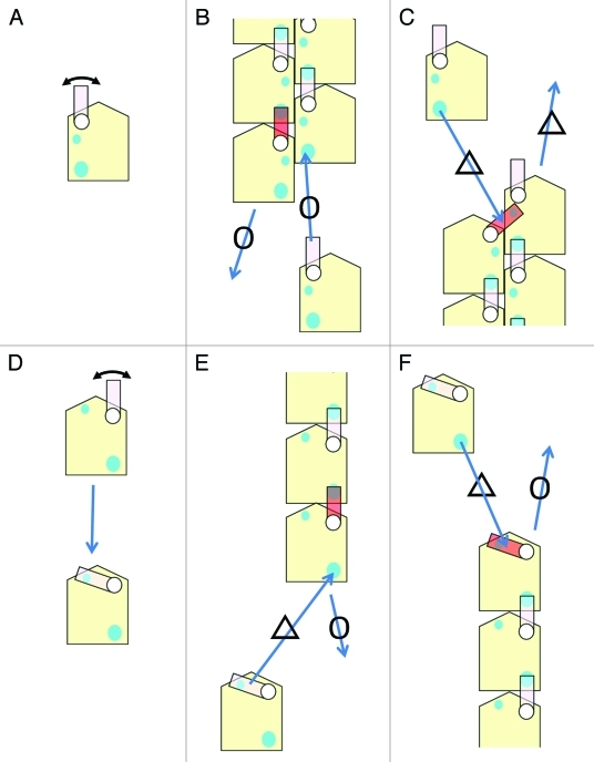 Figure 3.