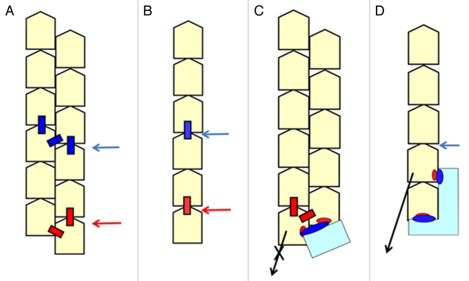 Figure 2.