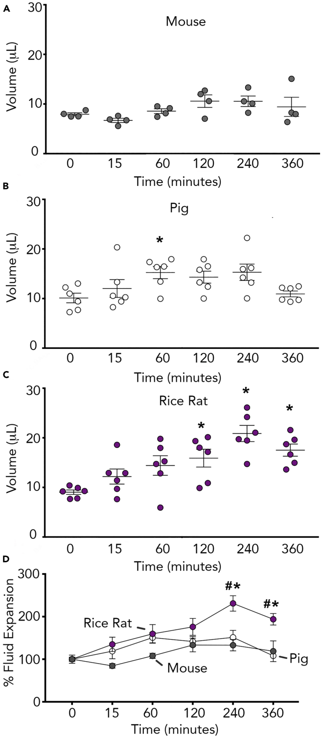 Figure 5