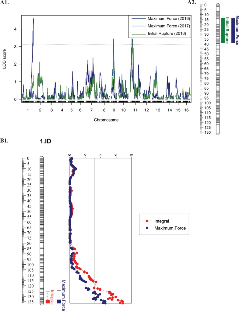 Fig 4