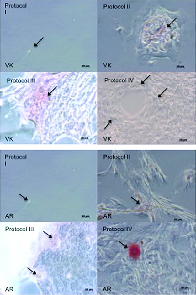 FIG. 3.