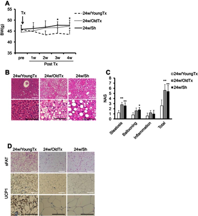 graphic file with name DMSO_A_214093_O_SF0001g.jpg