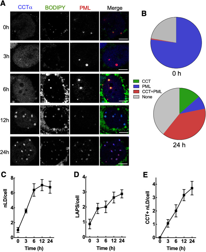 FIGURE 1: