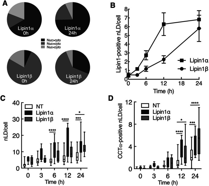 FIGURE 3: