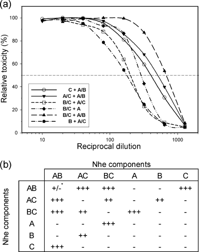 FIG. 2.