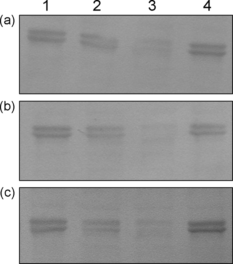 FIG. 8.