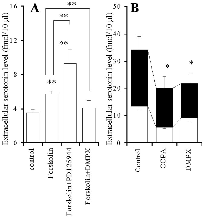 Fig. 13.