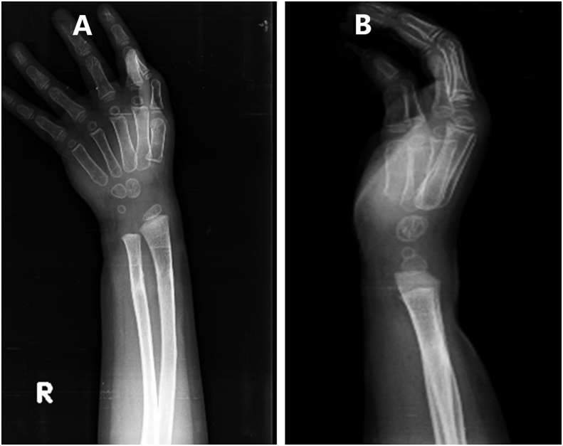 Fig. 5