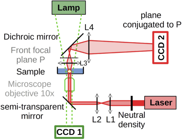 Fig. 1.