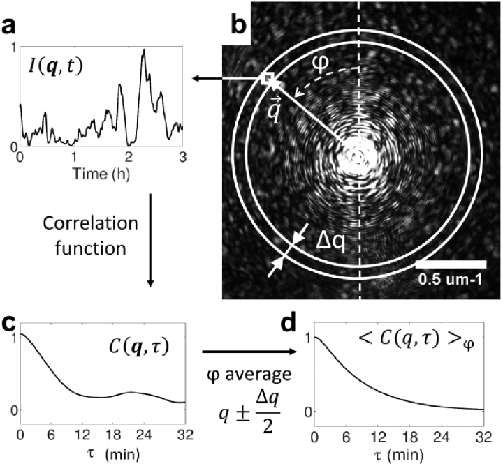 Fig. 2.