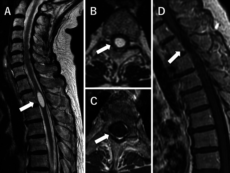 FIG. 1.