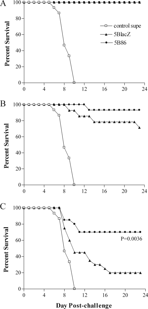 FIG. 7.