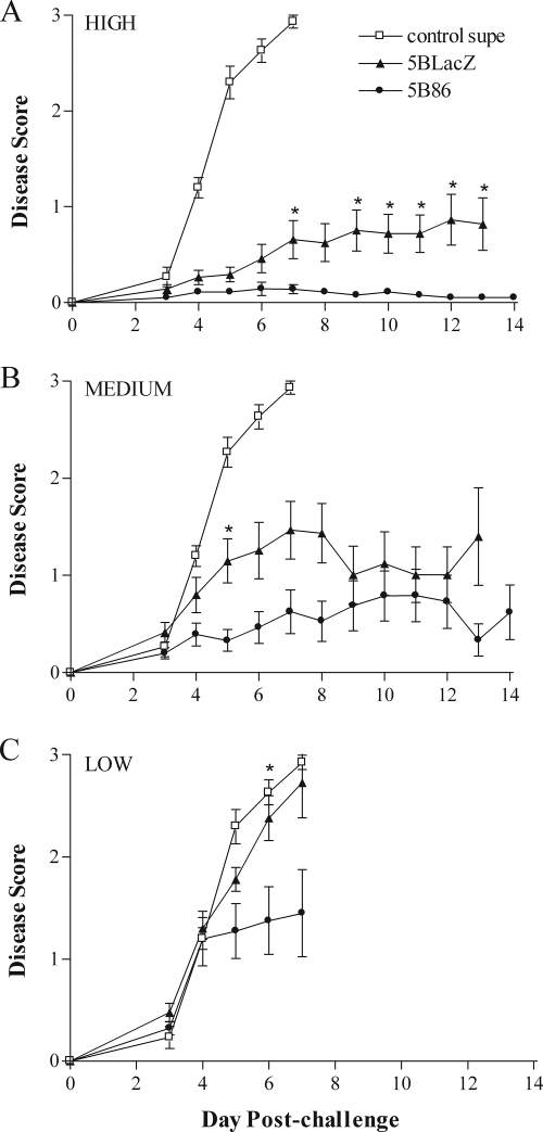 FIG. 5.