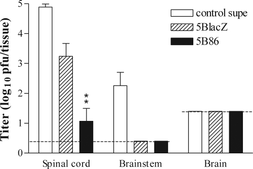 FIG. 8.