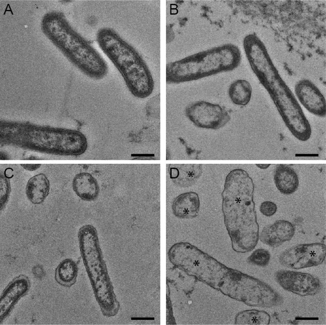 FIG 5