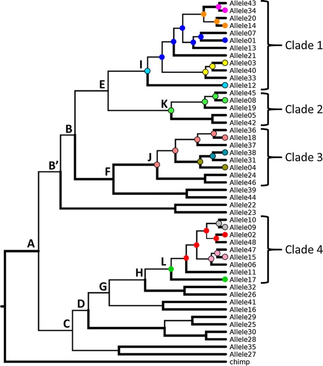 Fig. 1