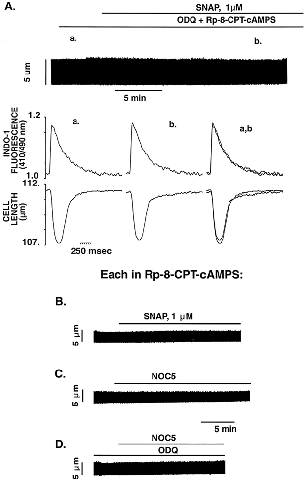 Figure 9.