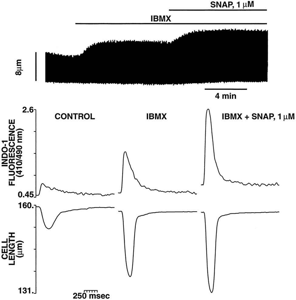 Figure 7.