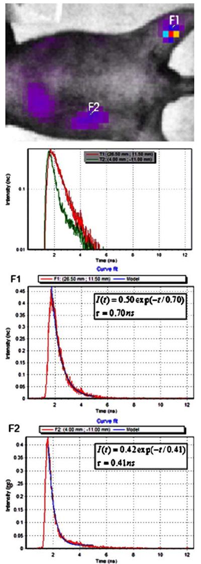 Fig. 4