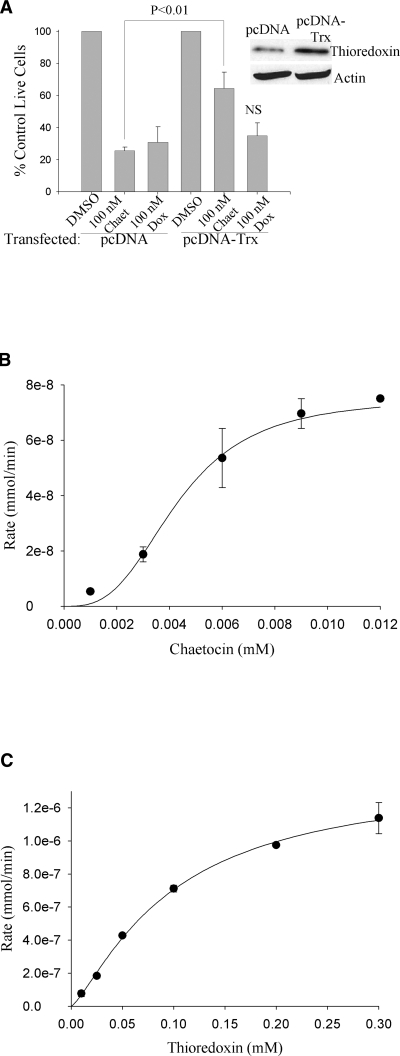 FIG. 5.