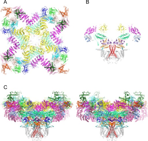 Figure 2