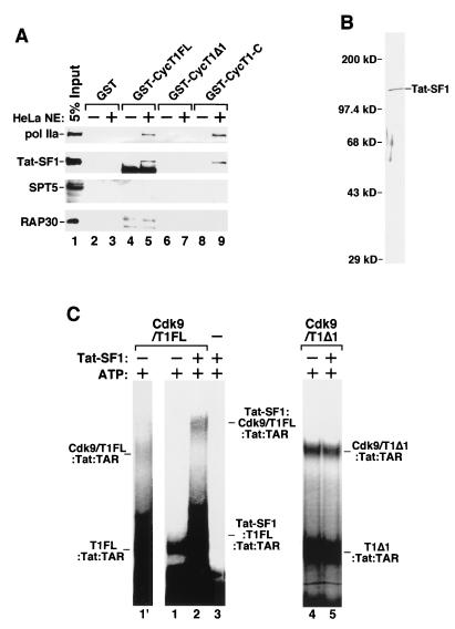 FIG. 6