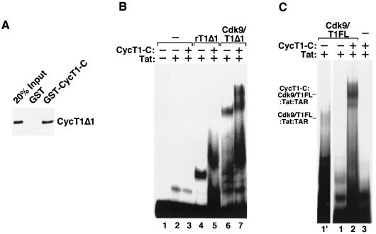 FIG. 5