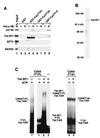 FIG. 6