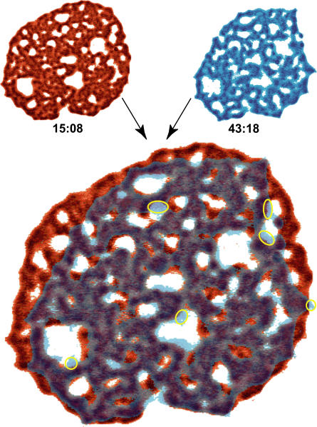 FIGURE 3